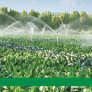 Bộ 10 béc tưới cây dành cho hoa, rau màu, cây con,...ren ngoài 21-27 mm thân xoay 206851-1