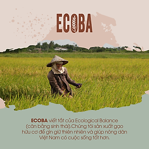 Gạo lứt nâu hữu cơ cao cấp/ECOBA Kim Mễ 1kg - Gạo lứt giảm cân - Cơm ngon mềm dẻo