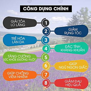 Tinh Dầu Oải Hương KOBI 30ml nguyên chất tặng kèm Vỏ lọ treo khuếch tán tinh dầu siêu tiện dụng