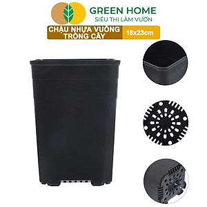 5 Chậu Vuông Trồng Cây Greenhome, Nhiều Kích Thước, Nhựa Cứng, Thoát Nước Tốt, Trồng Hoa, Kiểng Lá