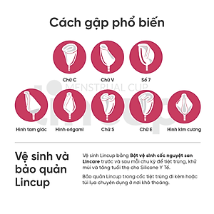 Bộ sản phẩm cốc nguyệt san Lincup (34ml)