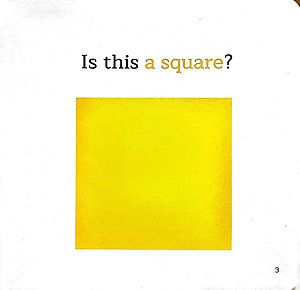 Sách Amazing Transformations