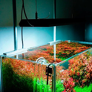 Đèn led Chihiros RGB Vivid 2 Mate Led Light quang phổ vivid bể thủy sinh cá tép cảnh