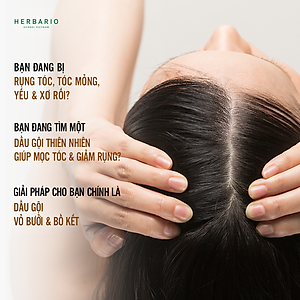 Dầu gội vỏ bưởi & Bồ kết 300ml sạch da đầu gàu, kích thích mọc tóc, giảm rụng tóc