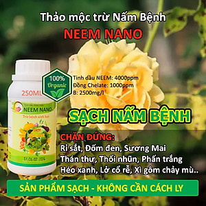 VƯỜN SINH THÁI - Thuốc trừ nấm bệnh sinh học neem nano - Sạch thán thư, rỉ sắt, thối nhũn, đốm đen, héo xanh, phấn trắng - Chiết xuất 100% Thiên Nhiên