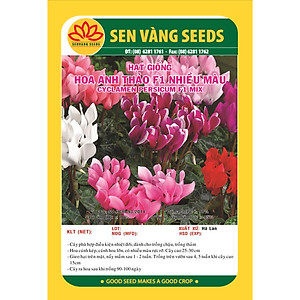 Hạt giống hoa Anh Thảo nhiều màu Hà Lan VTS01