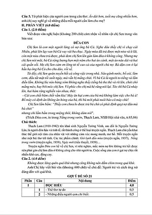 Sách - Chinh phục kì thi tốt nghiệp THPT môn ngữ văn