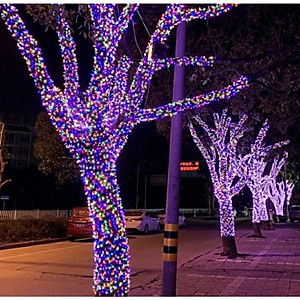 Dây Đèn LED Nháy Kim Cương 20M–40M Nhiều Màu/Vàng, Chống Nước IP65, Trang Trí Ngoài Trời Noel Tết- HÀNG CHÍNH HÃNG MINIIN