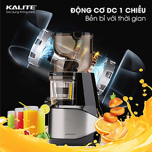 Máy Ép Trái Cây, Máy Ép Chậm Cao Cấp KALITE KL-599 Tiêu Chuẩn Châu Âu , Dung Tích 400 ML Công Suất 400 W - Hàng Chính Hãng