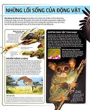 Sách Các Siêu Sao Trong Giới Động Vật