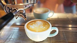 Cà phê hạt Arabica Cầu Đất nguyên chất 100% Coffee Tree 1kg thơm nồng, vị nhẹ, gu tây - Cà phê Đà Lạt tuyển chọn hoàn toàn trái chín rang công nghệ Châu Âu