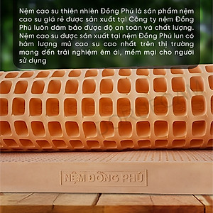 Nệm Gấp 3 Cao Su Thiên Nhiên Đồng Phú- Đàn hồi-hỗ trợ thẳng lưng- Bảo hành 7 năm.