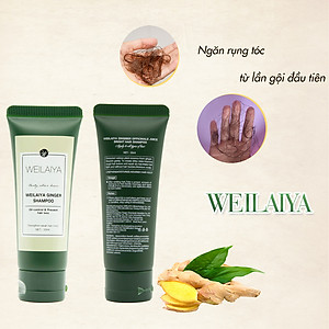 Bộ Dầu Gội Xả Weilaiya Tinh Chất Gừng, Hà Thủ Ô Cao Cấp Ngăn Rụng Tóc, Dưỡng Tóc Giúp Mọc Tóc(Bản 20ml)- Sản phẩm chính hãng
