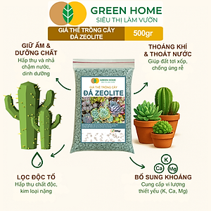 Đá Zeolite Greenhome, Bao 500GR, Giá Thể Trồng Bonsai, Xương Rồng, Đất Nền Hồ Thuỷ Sinh