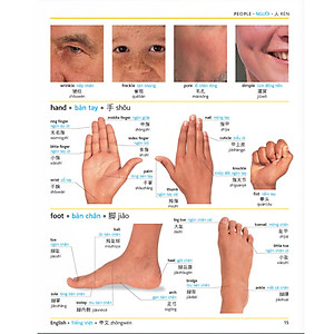 Sách Từ điển hình ảnh Tam Ngữ Trung Anh Việt – Visual English Vietnamese Chinese Trilingual Dictionary + DVD quà tặng