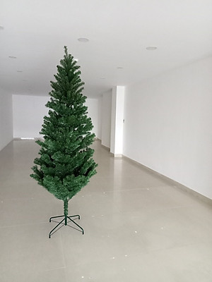 Cây thông noel màu xanh cao 2m - Cây cao cấp tán dày và rộng