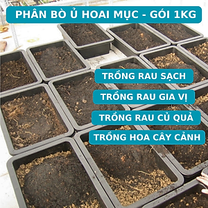 Phân Bò Đã Qua Xử Lý ủ Trichoderma, Chuyên Rau Sạch, Cây Cảnh, Cây Ăn Trái, Hoa (Gói 1Kg)