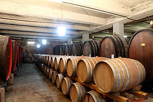 Rượu vang Ý ABVNDANTIA Negroamaro I.G.P Puglia (Italia) kèm túi hộp,đồ khui 