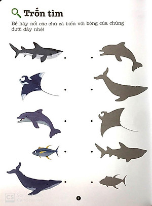 Sách Trò Chơi Phát Triển Trí Tuệ: Biển Khơi