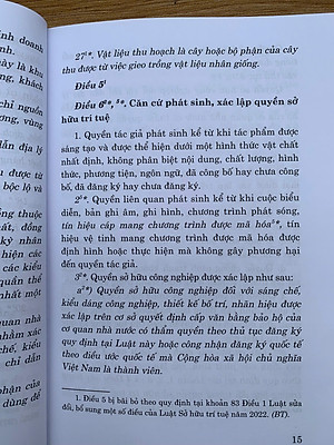 Luật sở hữu trí tuệ năm 2005 (sửa đổi, bổ sung năm 2009, 2019, 2022, 2025)