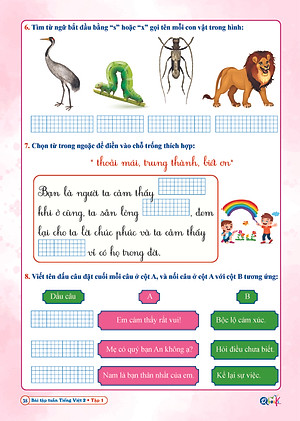 Combo Bài Tập Tuần và Đề Kiểm Tra Toán, Tiếng Việt Lớp 2 - Kết Nối Tri Thức Với Cuộc Sống