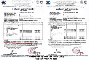 Ly Giữ Nhiệt Cà Phê Nắp Trượt Chống Tràn Rinfere (295ml)