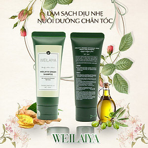 Bộ Dầu Gội Xả Weilaiya Tinh Chất Gừng, Hà Thủ Ô Cao Cấp Ngăn Rụng Tóc, Dưỡng Tóc Giúp Mọc Tóc(Bản 20ml)- Sản phẩm chính hãng