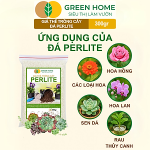 Đá Perlite Greenhome, Bao 300gr, Trồng Hồng, Thuỷ Canh, Giá Thể Trân Châu Giàu Khoáng Chất, Tăng Độ Tơi Xốp