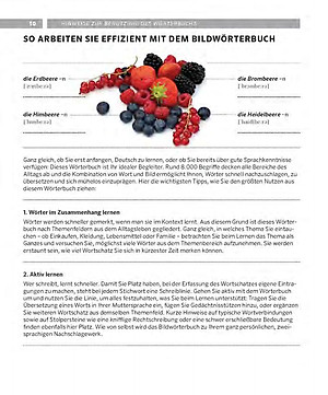 Sách Pons Tự Học Tiếng Đức Qua Hình