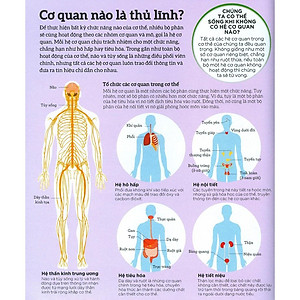Sách How The Body Works - Hiểu Hết Về Cơ Thể