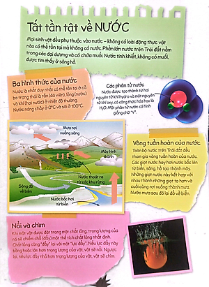 Sách Bộ 4 Cuốn: Thí Nghiệm Stem Siêu Sáng Tạo