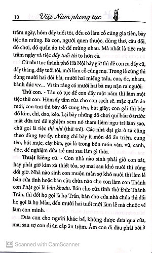 Việt Nam Phong Tục