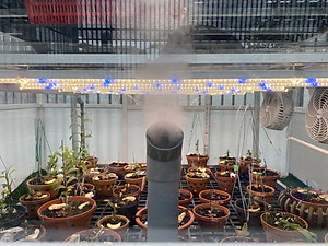 Đèn LED Trồng Cây, Đèn LED Trồng Rau Trong Nhà