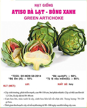 Hạt giống Atiso xanh VTS12