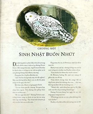 Sách Harry Potter Và Phòng Chứa Bí Mật - Tập 2 (Bản Đặc Biệt Có Tranh Minh Họa Màu)