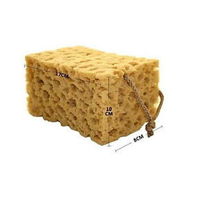 Mút Đánh Bóng Xe Hando