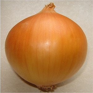 Hạt giống củ Hành Tây - Hành củ vàng Texas Grano VTS71