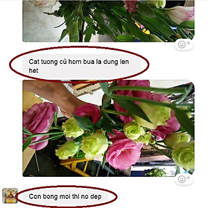 Dung Dịch Xử Lý Hoa TOG Galileo của ISRAEL (Chai 1 Lít) dùng bảo quản hoa cắt cành tươi lâu tại Nhà Vườn Trồng Hoa, Vựa Hoa và Chợ Sỉ Hoa. Tỷ lệ dung dịch 0.1% tức chai 1 Lít TOG pha được 1.000 Lít dung dịch xử lý hoa