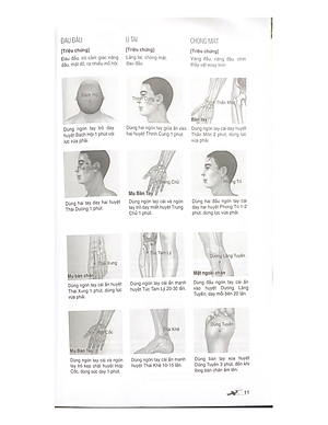 Massage Kinh Lạc Huyệt Vị Toàn Thư (Tái Bản) - Vanlangbooks