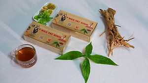 Trà Túi Lọc Hoàn Ngọc 7 Nga Tây Ninh ( Hộp vàng)