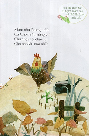 Sách Từ Những Hạt Mầm: Gà Choai Trồng Bắp