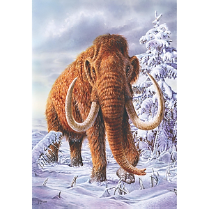 Sách Atlas các động vật nổi danh đã tuyệt chủng