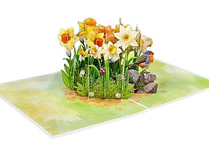 Thiệp 3D Pop Up Hoa Thủy Tiên Vàng – Thiệp Hoa Nghệ Thuật, Thiệp Chúc Mừng, Sinh Nhật, May Mắn, F56