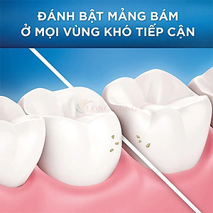 Chỉ nha khoa Oral-B Essential Floss (50m) - Hàng chính hãng