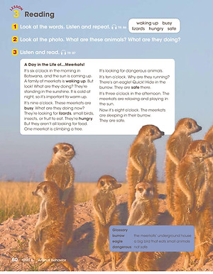 Look 3 Student Book (British English)