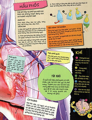 Sách Tìm Hiểu Về: Cơ Thể Người