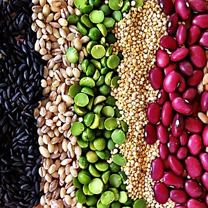 Bột ngũ cốc dinh dưỡng cao cấp 22 dưỡng chất hiệu 22 Complete Nutrimix - Chia Seed (Hạt chia) - hộp thiếc 750g