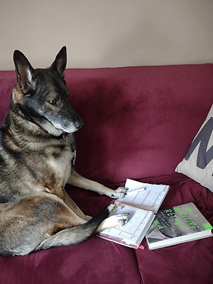 Sách The Writing Retreat: A Novel