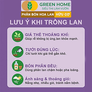 Phân Bón Lan Greenhome, 1 Tép, Túi Lưới, Tan Chậm, Không Mùi Hôi, Dưỡng Lan Ra Rễ, Xanh Tốt, Dùng Tốt Cho Sen Đá, Kiểng
