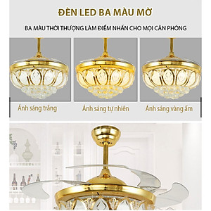 Quạt trần trang trí, cánh cụp cánh xòe, có điều khiển từ xa